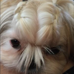 Meet your Posher, Rosa