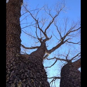 Meet your Posher, Dee