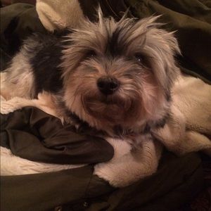 Meet your Posher, Karlina