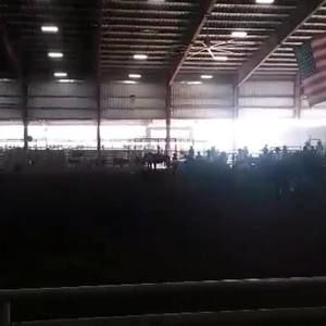 Meet your Posher, Bella ann