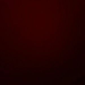 Meet your Posher, Shane