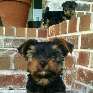 Meet your Posher, Ashlyn