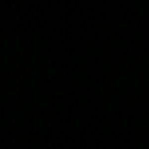 Meet your Posher, Ali