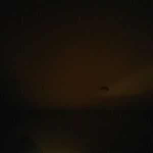 Meet your Posher, June