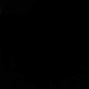 Meet your Posher, Bryant