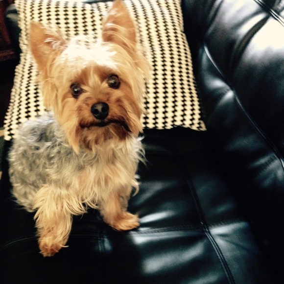 Other - ❤️ Bookmark my Closet! ❤️