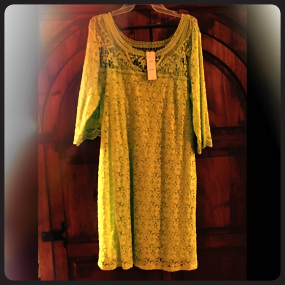 Spense crochet and lace dress nwt