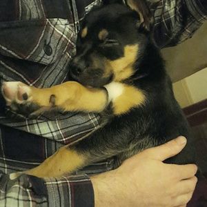 Meet your Posher, Mark