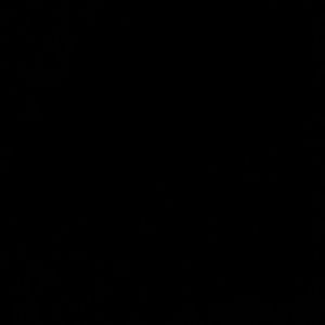 Meet your Posher, Ahmad