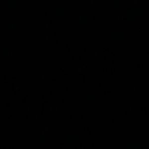 Meet your Posher, Tabitha