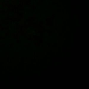 Meet your Posher, Kenny