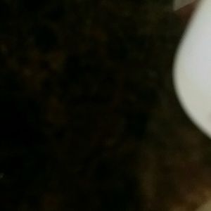 Meet your Posher, Los