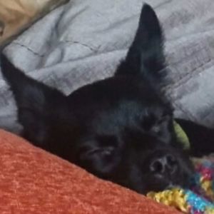 Meet your Posher, Leeann