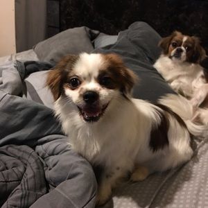 Meet your Posher, Kent