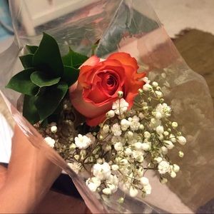 Meet your Posher, Morgan