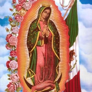 Meet your Posher, Vera