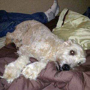 Meet your Posher, Ann