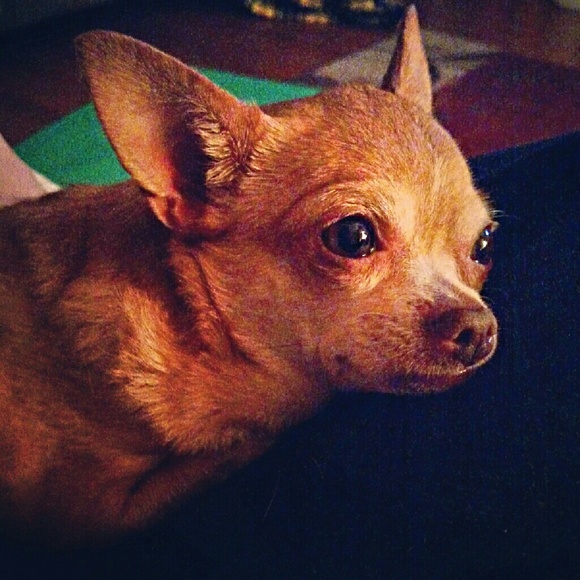 Meet your Posher, Kelly - Picture 3 of 4