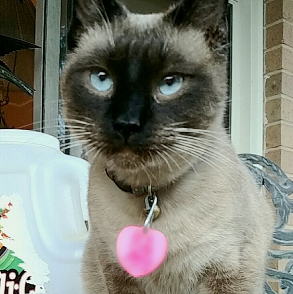 Meet your Posher, Kelly - Picture 4 of 4