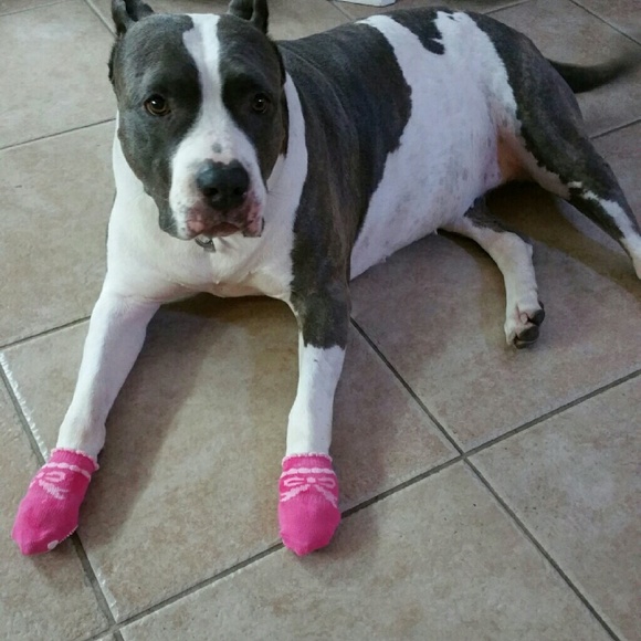 Meet your Posher, Jennifer - Picture 3 of 4