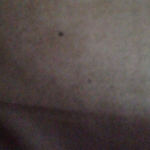 Meet your Posher, Lj