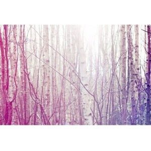 Meet your Posher, Roxana