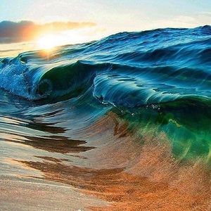 Meet your Posher, Deanna