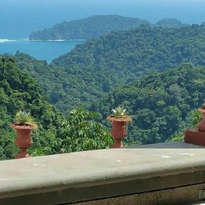 Meet your Posher, Wilfreda