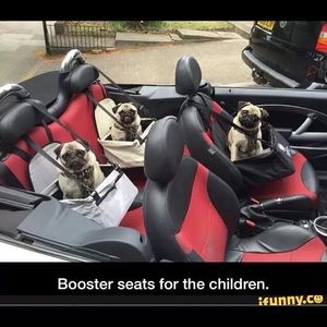 Meet your Posher, Jacoby