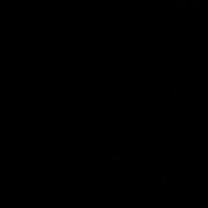 Meet your Posher, Alisa