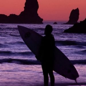 Meet your Posher, Bailey