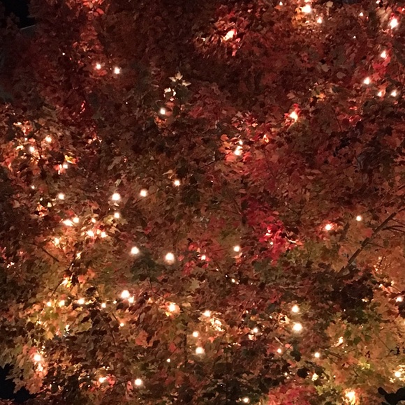 Ask for discounts on bundle deals! - Picture 2 of 4