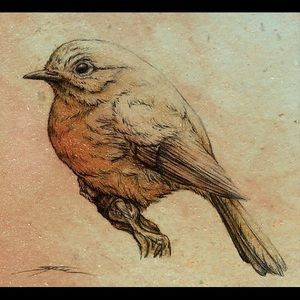 Meet your Posher, Robin