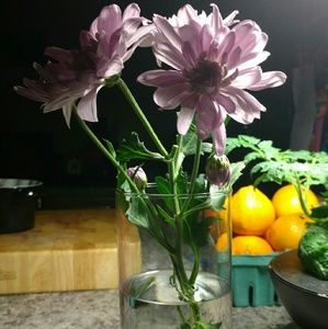 Meet your Posher, Jocelyn