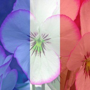 Meet your Posher, Danner