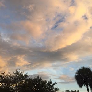 Meet your Posher, Isaiah