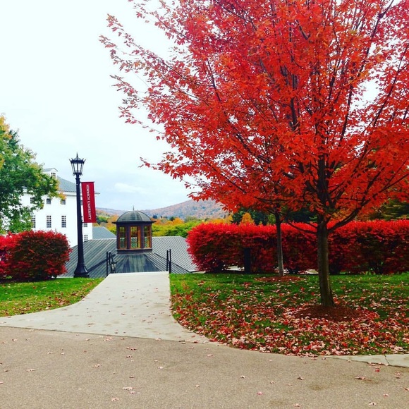 Meet your Posher, Armando - Picture 1 of 1