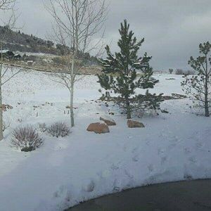 Meet your Posher, Efrain