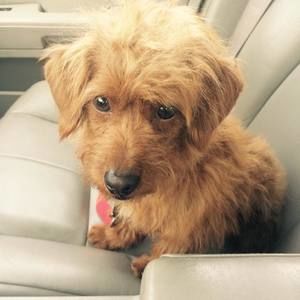 Meet your Posher, Bates