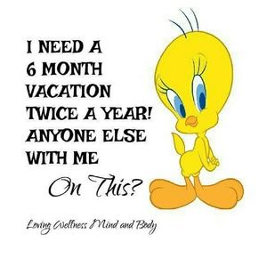 Meet your Posher, Celine