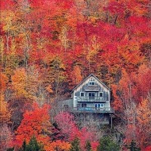 Meet your Posher, Daniil