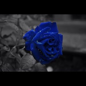 Meet your Posher, Jovana