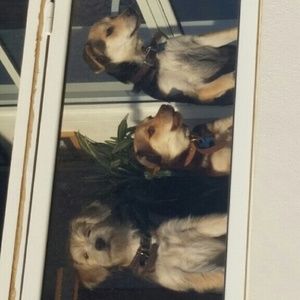 Meet your Posher, Kristina