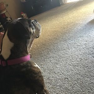 Meet your Posher, Jay