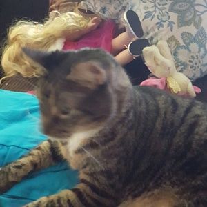 Meet your Posher, Amy