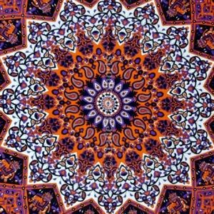 Meet your Posher, Frances