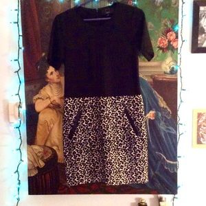 DOLCE VITA DRESS STUNNING FOR ANY OCCASION