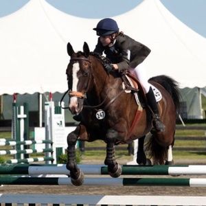 Meet your Posher, Madison