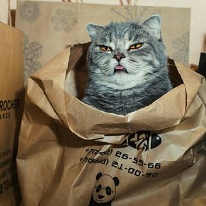 Meet your Posher, Gina