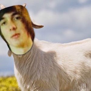 Meet your Posher, Kyle